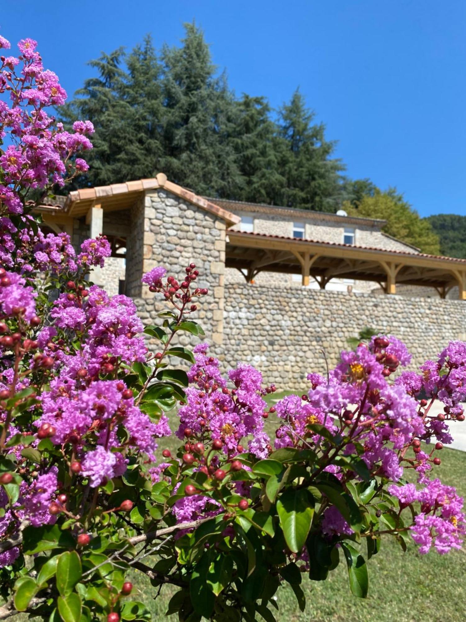 Bed and Breakfast Domaine Les Buis Saint-Fortunat-sur-Eyrieux Exterior foto